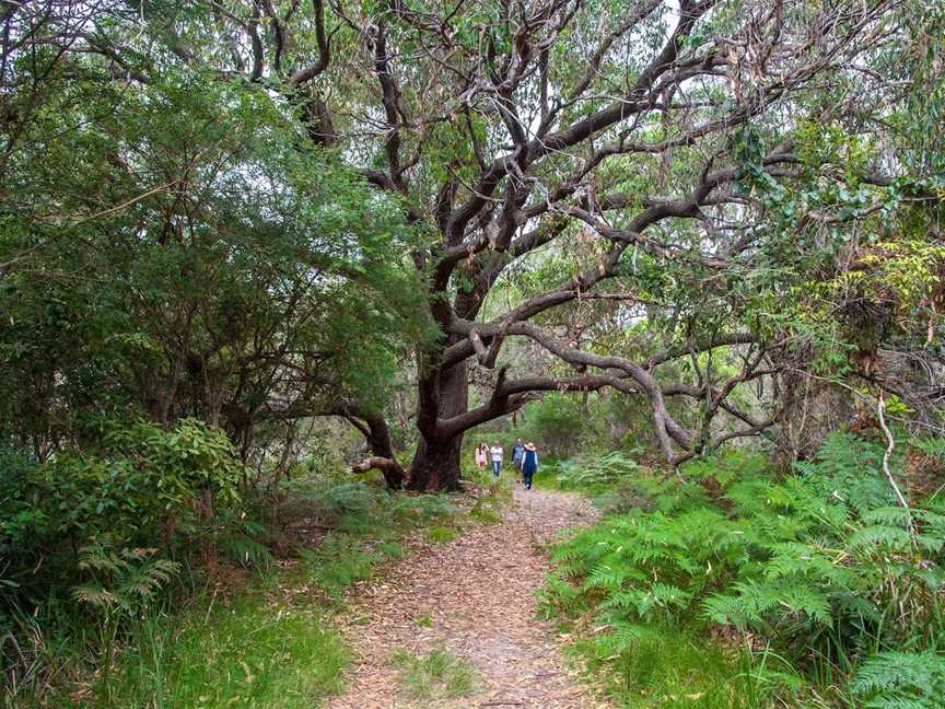 Burrewarra Point Lookout, Guerilla Bay, NSW