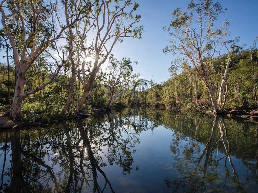 Byfield National Park, Conservation Park and State Forest, Byfield, QLD