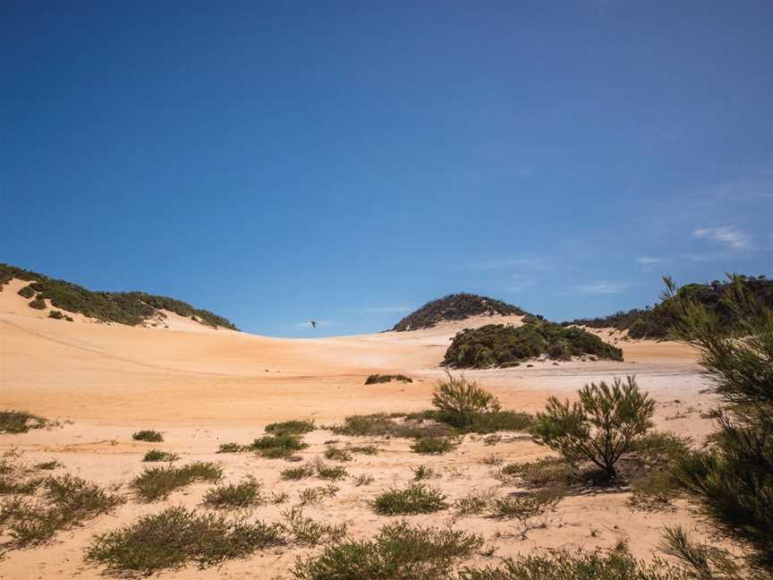 Byfield National Park, Conservation Park and State Forest, Byfield, QLD