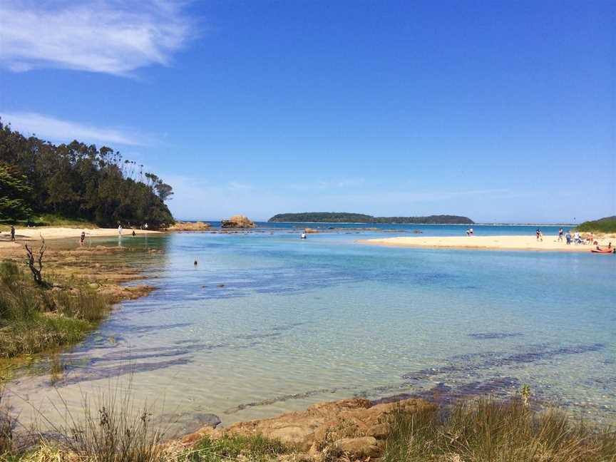 Snorkelling Candlagan Creek, Broulee, NSW