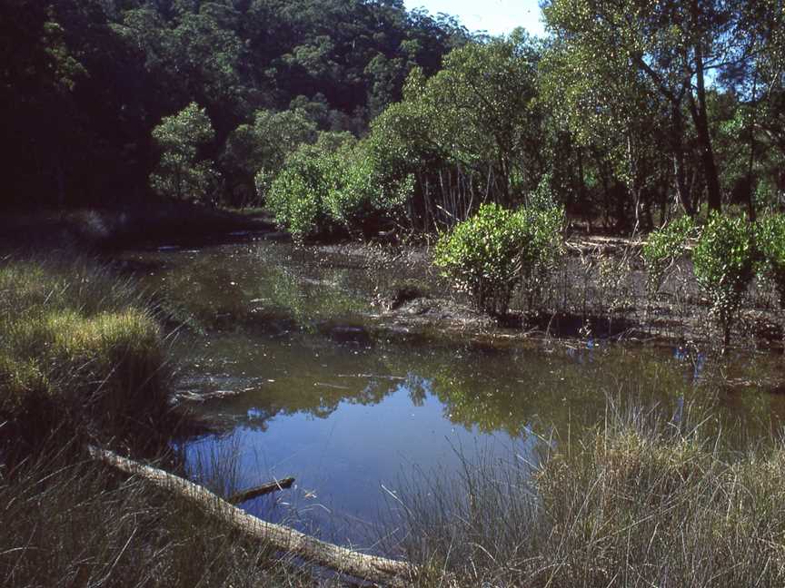 Marramarra National Park, Canoelands, NSW