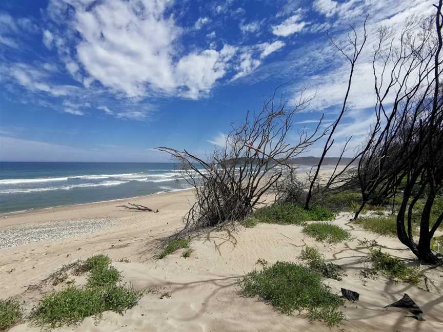 Cape Conran Coastal Park, Cape Conran, VIC