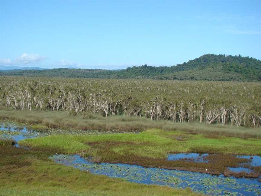 Eubenangee Swamp National Park, Babinda, QLD