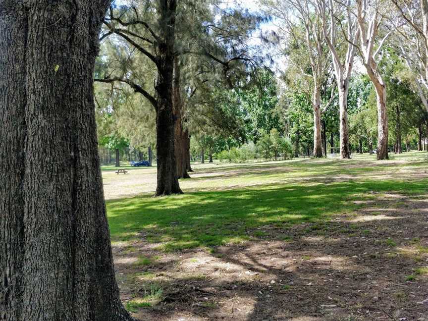 Cattai Farm picnic area, Cattai, NSW