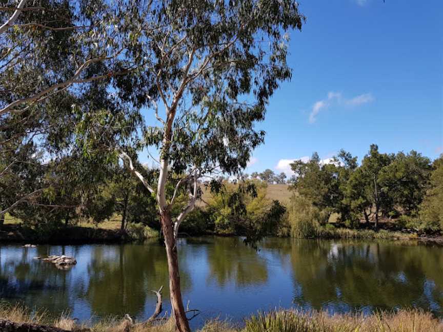 Blue Hole picnic area, Castle Doyle, NSW