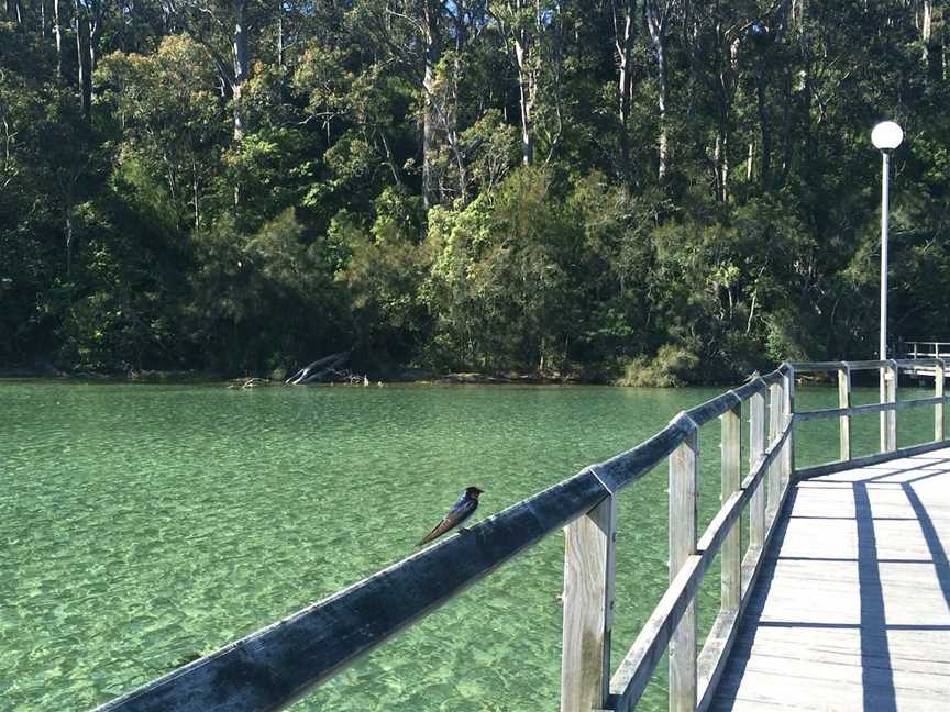 Mill Bay Boardwalk Narooma, North Narooma, NSW