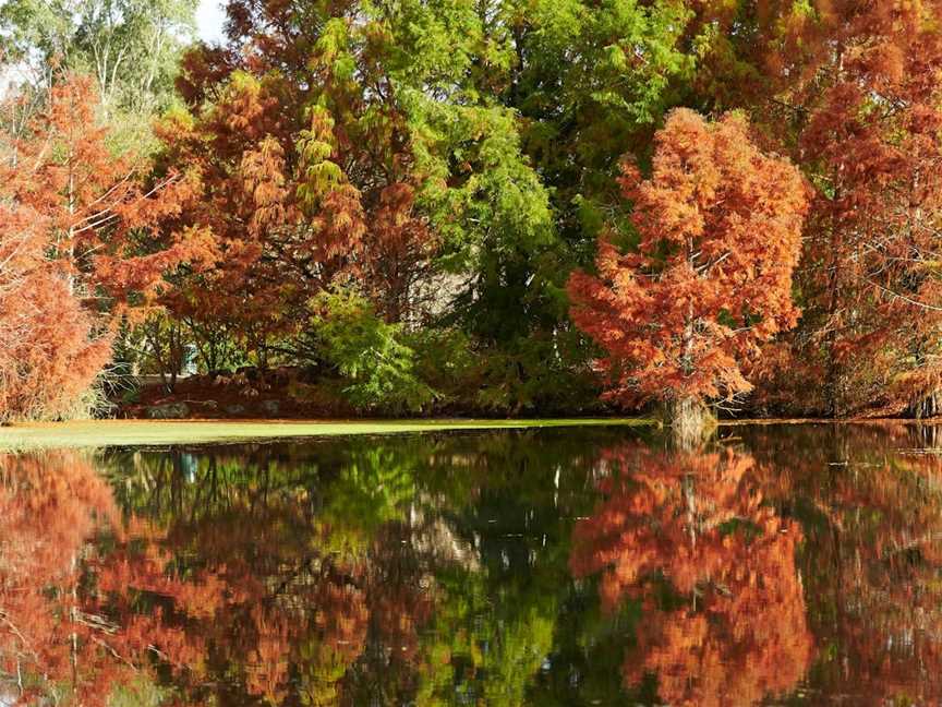 Penshurst Botanic Gardens, Penshurst, VIC