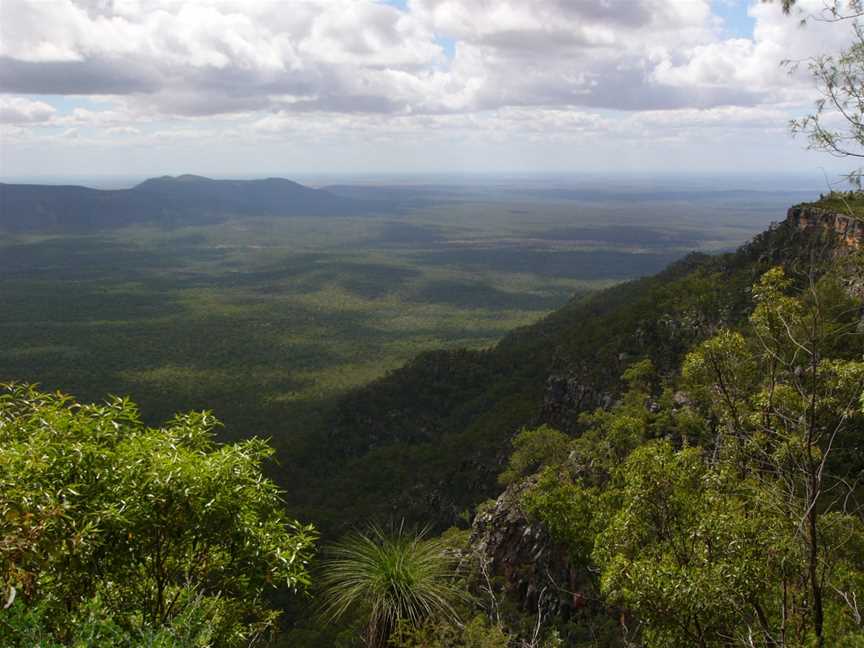 Blackdown Tableland National Park, Dingo, QLD