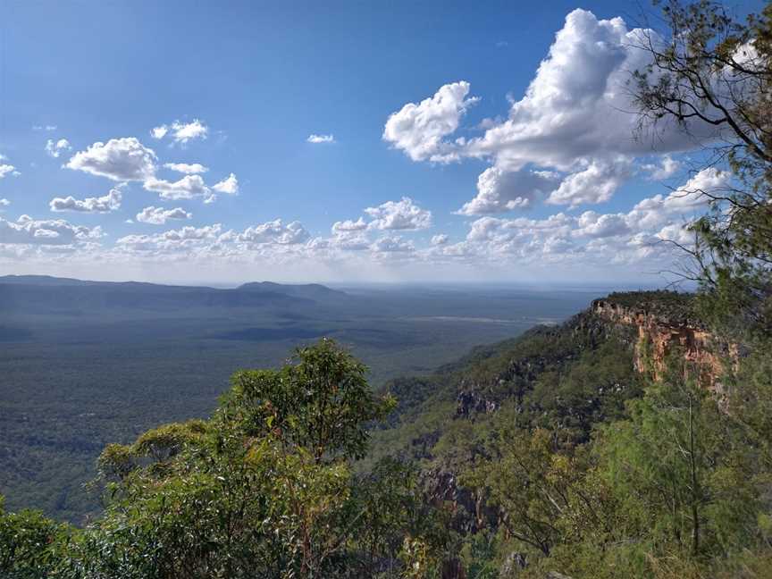 Blackdown Tableland National Park, Dingo, QLD