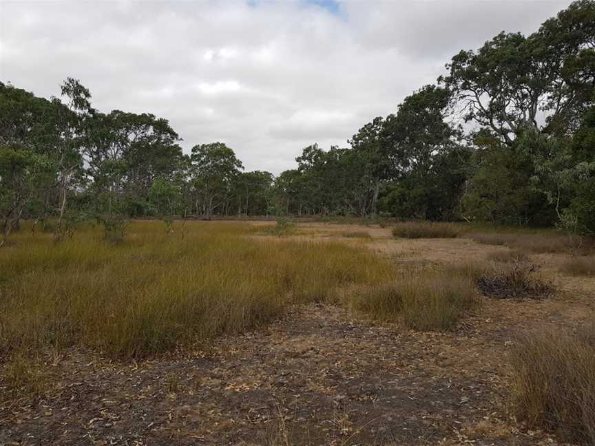 Penola Conservation Park, Monbulla, SA