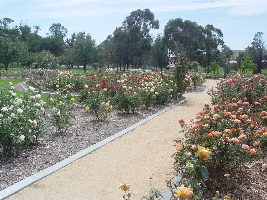 Victoria Park Rose Garden, Goulburn, NSW