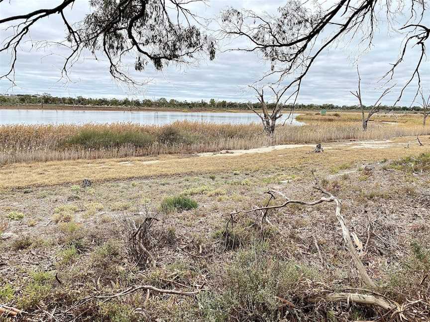 Hart Lagoon Walking Trail, Waikerie, SA