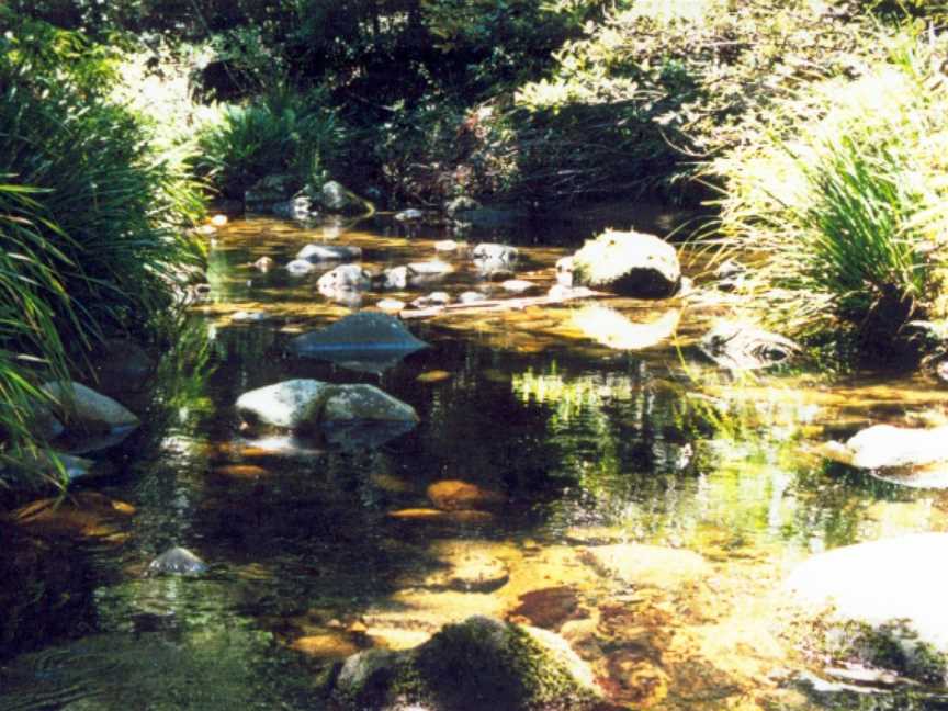 Washpool National Park, Gibraltar Range, NSW