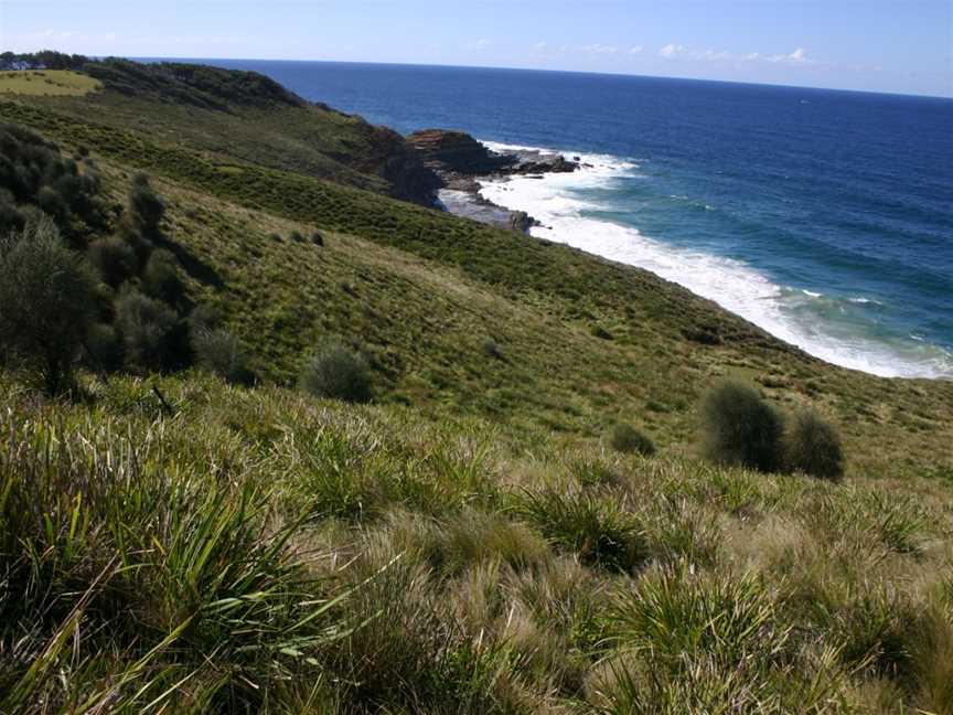 Wedding Cake Rock, Royal National Park, NSW