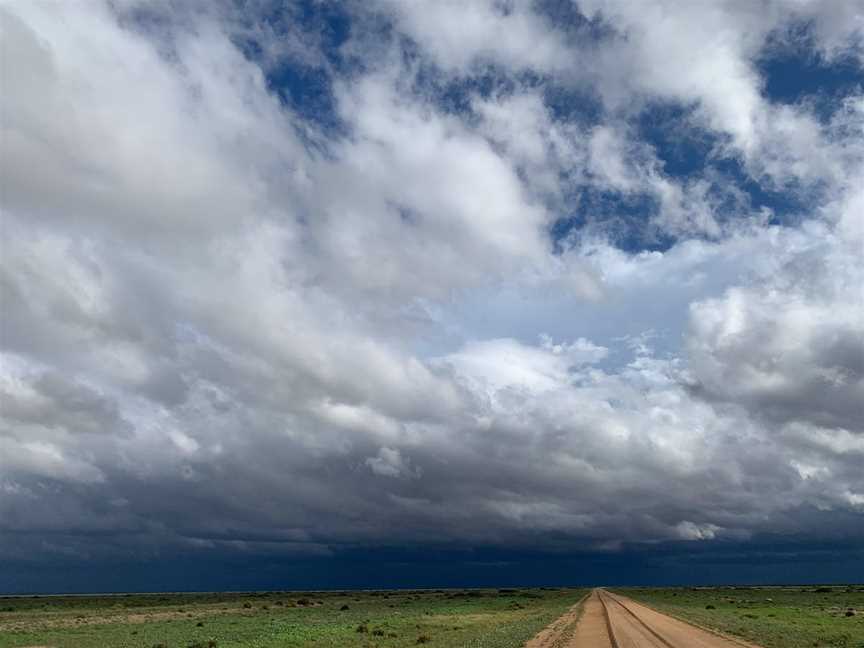 The Long Paddock Touring Route, Deniliquin, NSW