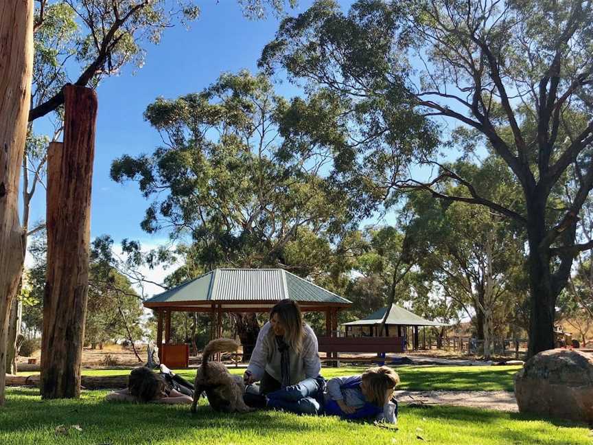 Kaniva Wetlands & Fauna Park, Kaniva, VIC