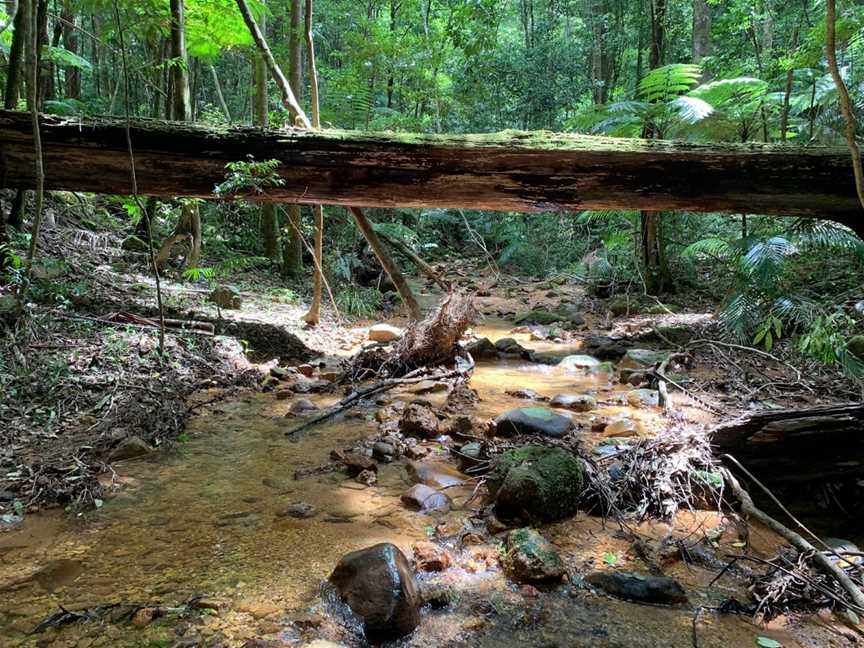 Coorabakh National Park, Lansdowne Forest, NSW