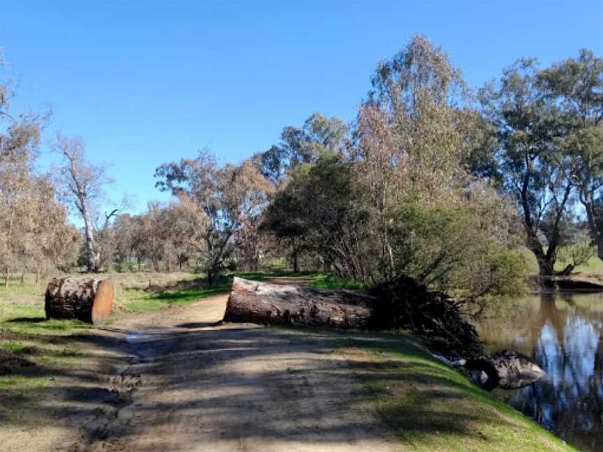 Tumut Wetlands, Tumut, NSW