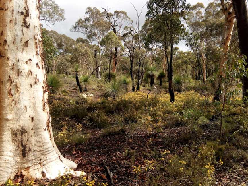 Dawn Atwell Nature Reserve, Toodyay, WA