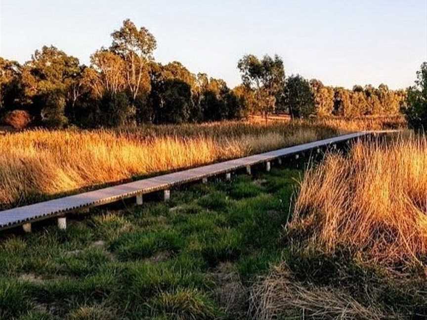 Junee Urban Wetlands, Junee, NSW