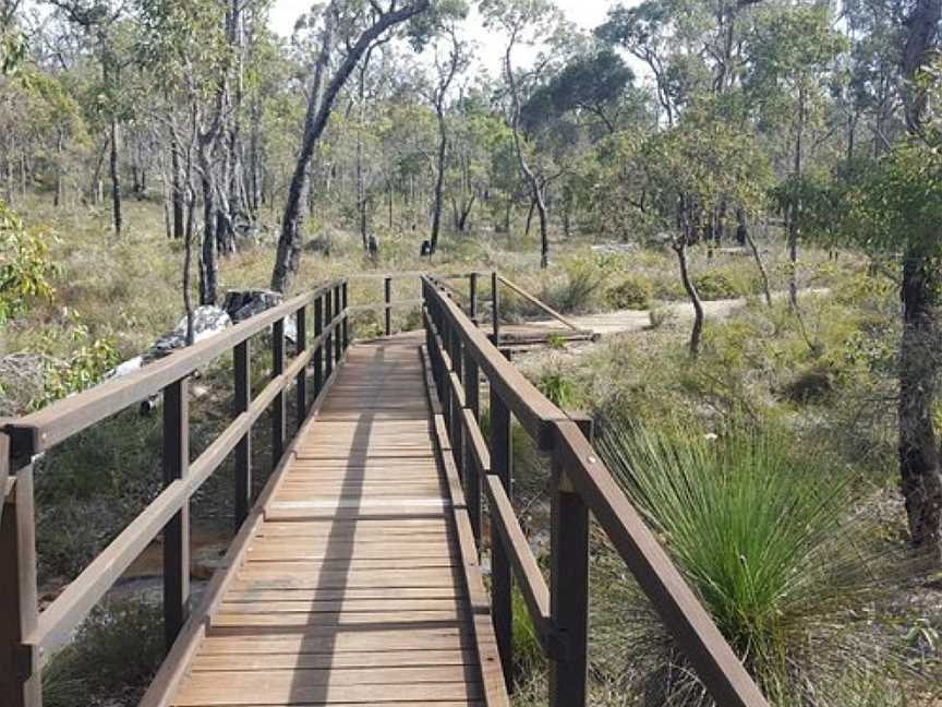 Crooked Brook Forest, Dardanup, WA