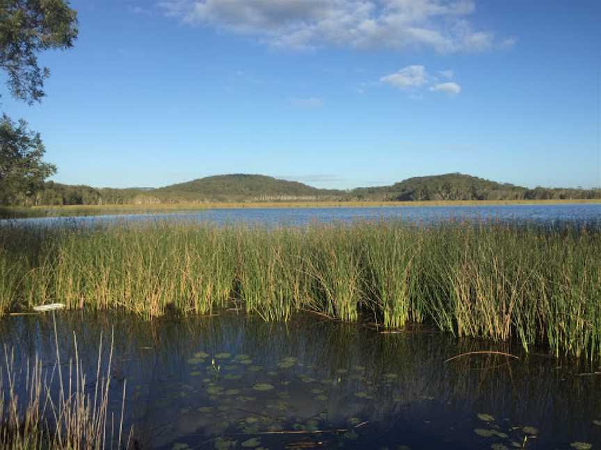 Cudgen Nature Reserve, Bogangar, NSW