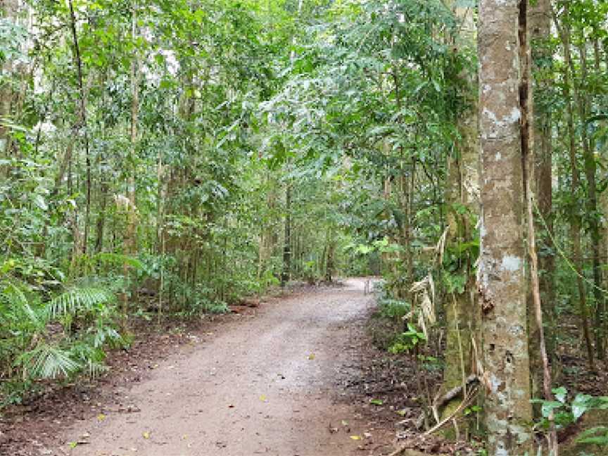 Danbulla National Park and State Forest, Lake Tinaroo, QLD