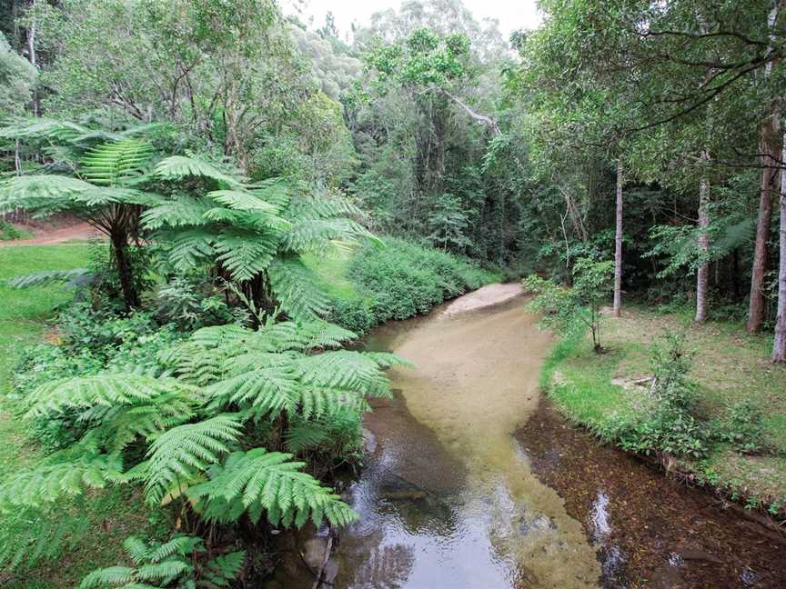 Danbulla National Park and State Forest, Lake Tinaroo, QLD