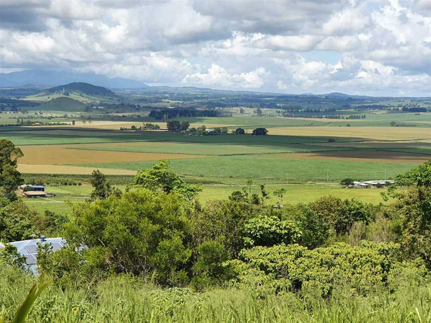 Hallorans Hill Conservation Park, Atherton, QLD