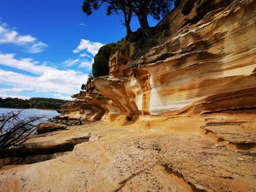 Maria Island National Park, Maria Island, TAS