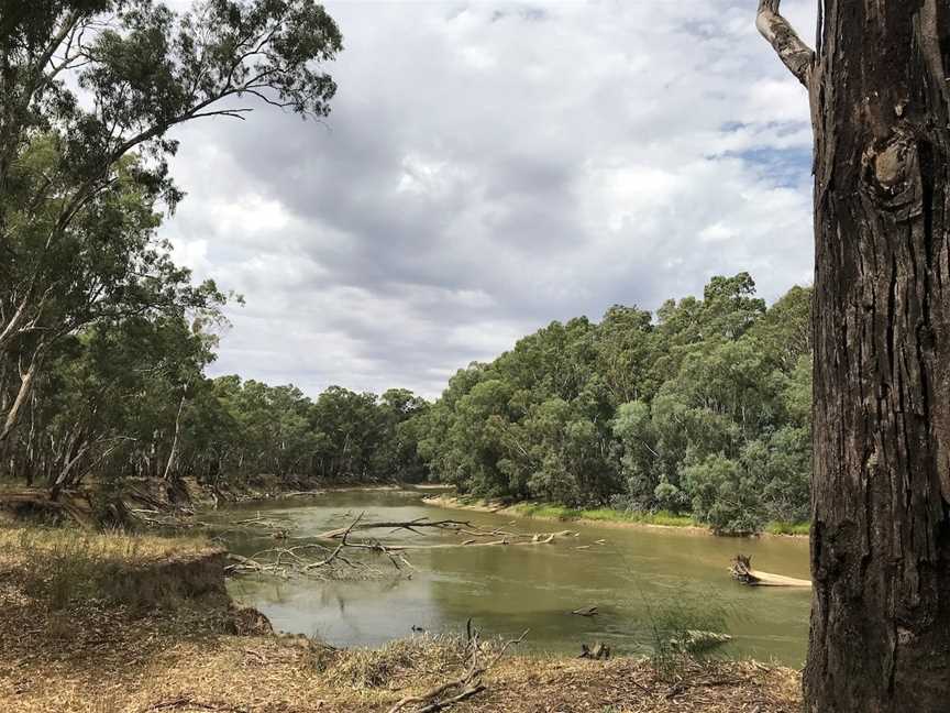 Wilbriggie Regional Park Beachs (East), Darlington Point, NSW