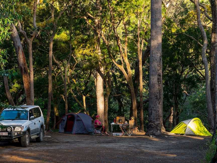 Davies Creek National Park and Dinden National Park, Mareeba, QLD