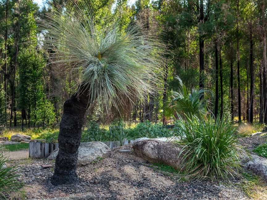 Eurobodalla Regional Botanic Garden, Mogo, NSW