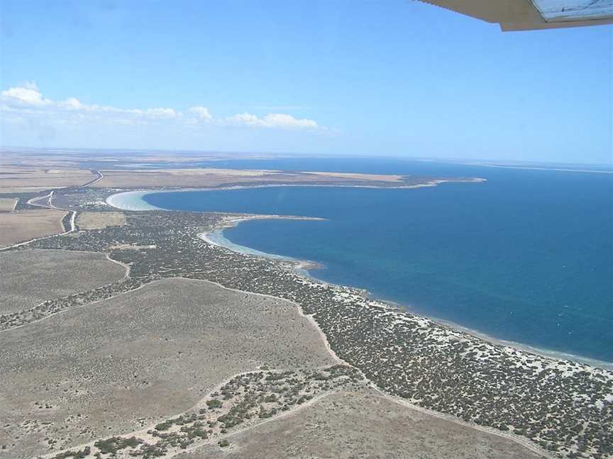 Wittelbee Conservation Park, Ceduna, SA