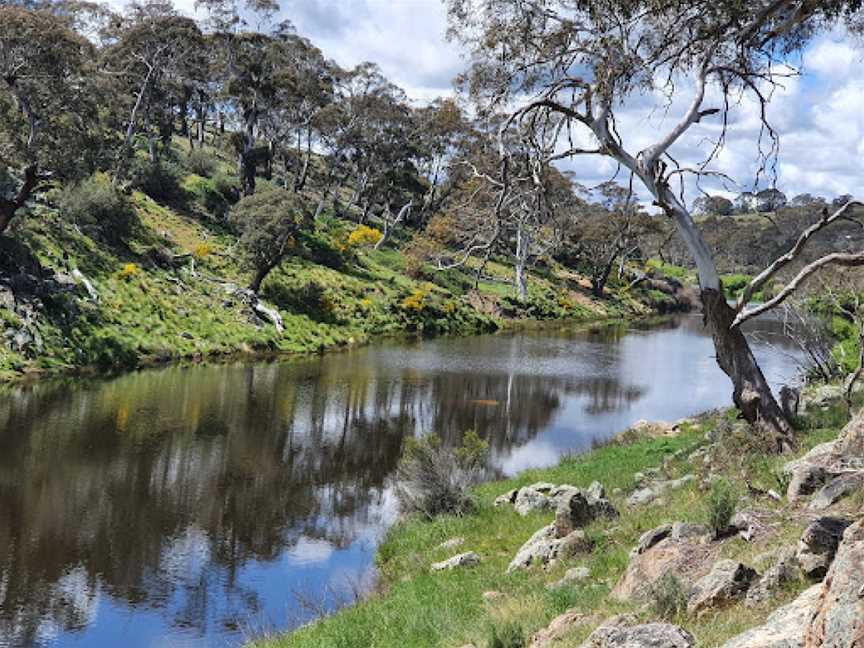 Bombala Platypus Reserve, Bombala, NSW