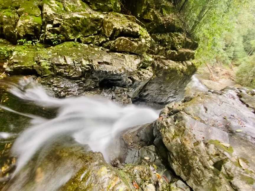 Rosewood Creek Walking Track, Never Never, NSW