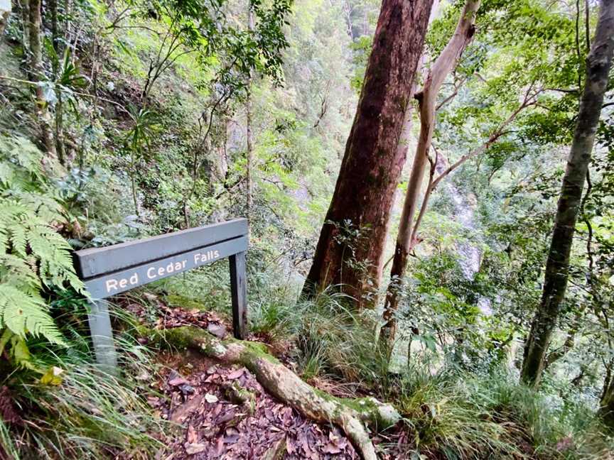 Rosewood Creek Walking Track, Never Never, NSW