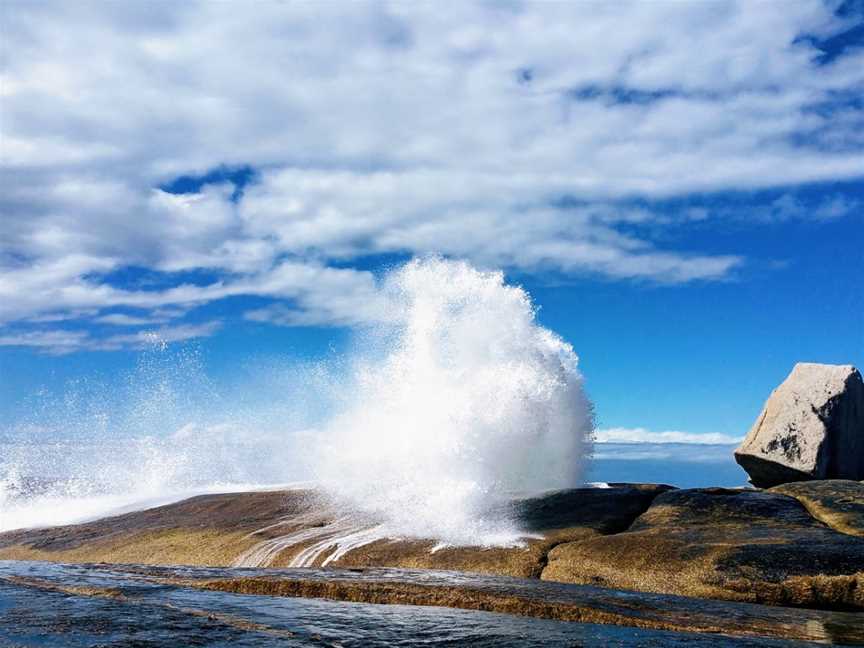 Bicheno Blowhole - East Coast Whale Trail, Bicheno, TAS