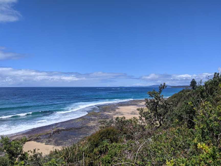 South Pacific Heathland Reserve, Ulladulla, NSW