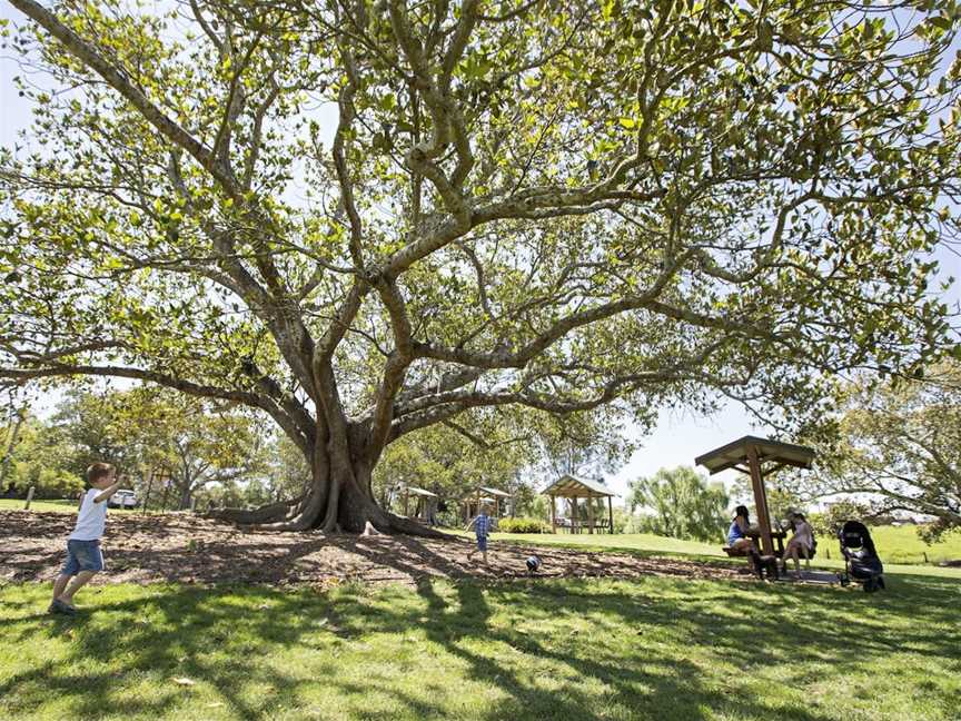 Morpeth Common, Morpeth, NSW