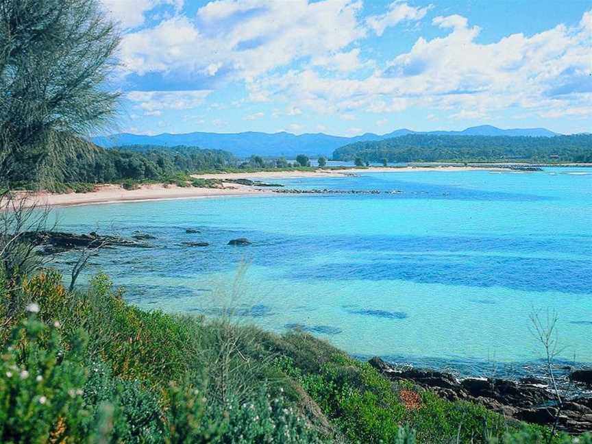 Shelly Beach Picnic Area - Moruya Heads, Moruya Heads, NSW