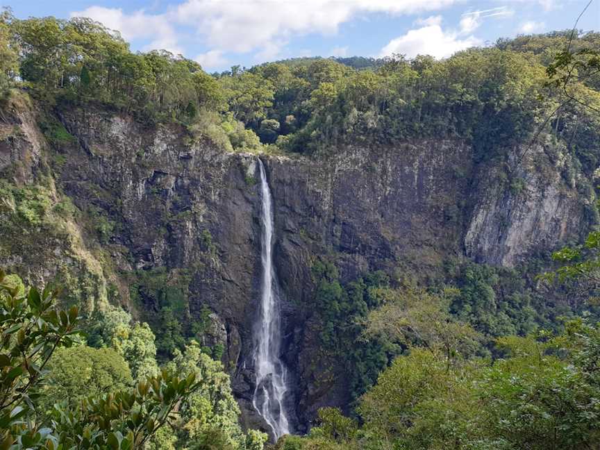 Ellenborough Falls, Elands, NSW