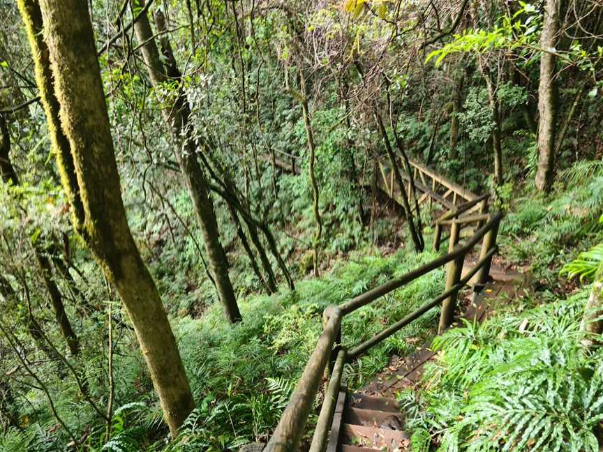 Ellenborough Falls, Elands, NSW