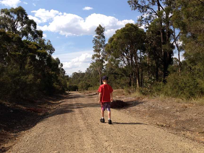 Werakata National Park, Elrington, NSW