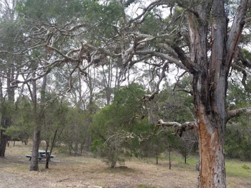 Werakata National Park, Elrington, NSW