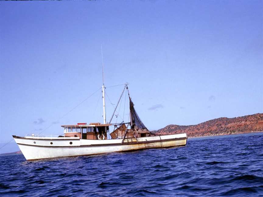 Evans River, Evans Head, NSW