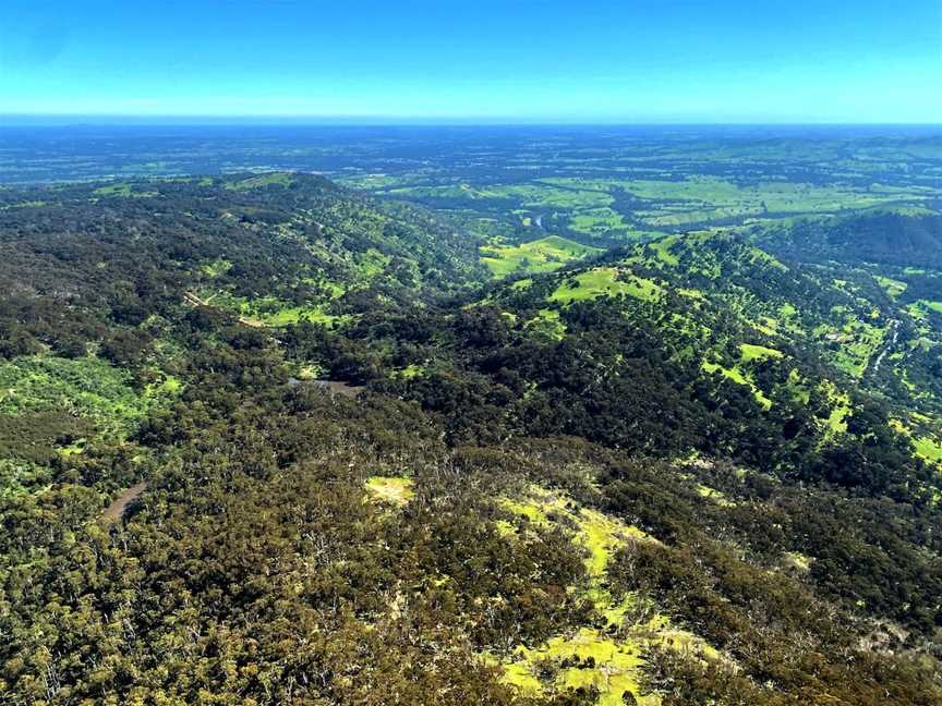 Tallarook State Forest, Tallarook, VIC