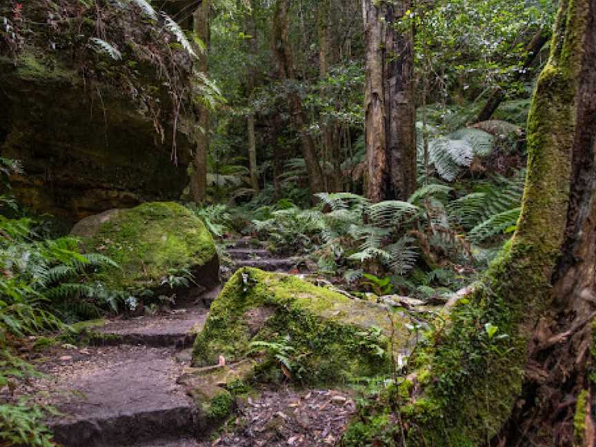 Grand Canyon Track, Blackheath, NSW