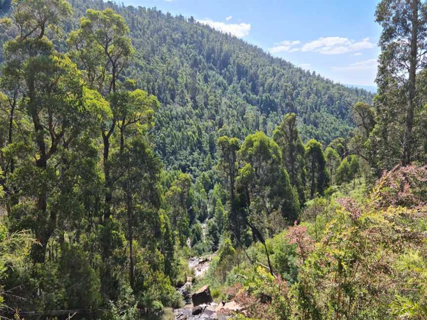 Steavenson Falls, Marysville, VIC