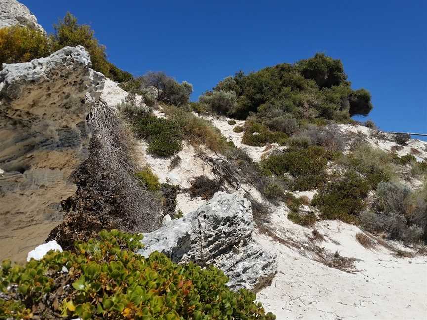 Fays Bay, Rottnest Island, WA